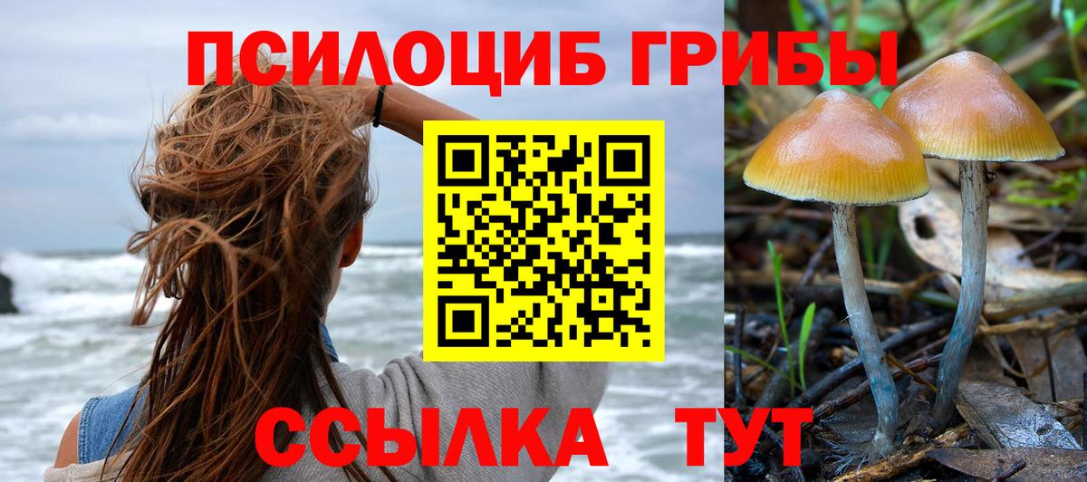 Галлюциногенные грибы GOLDEN TEACHER Железногорск
