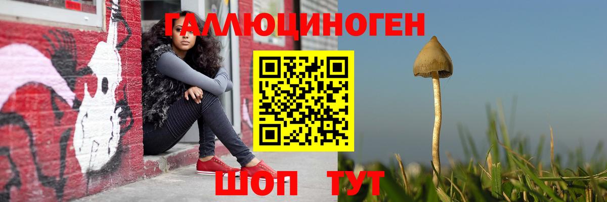 Железногорск  Галлюциногенные грибы прущие грибы  Вход с VPN 